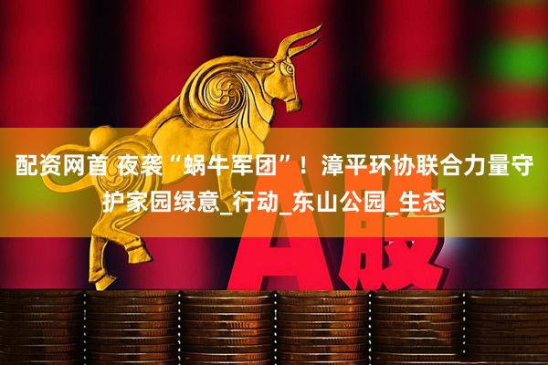 配资网首 夜袭“蜗牛军团”！漳平环协联合力量守护家园绿意_行动_东山公园_生态