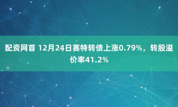 配资网首 12月24日赛特转债上涨0.79%，转股溢价率41.2%
